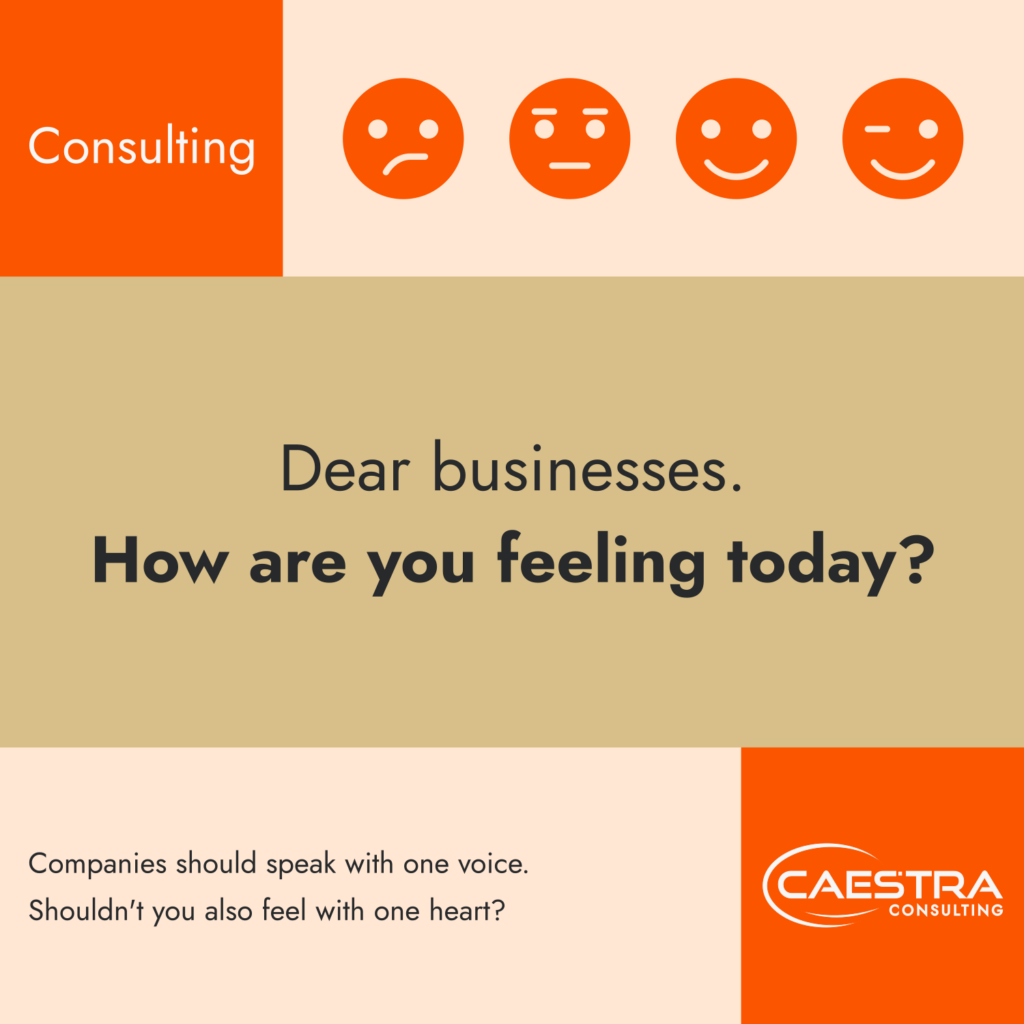 caestra consulting-unternehmensberatungBeitra-betriebliche-emotionale-intelligenz-schaubild-inklusive-emojis-EN